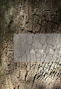 法院怎么处理冒领信用卡 法院怎么处理冒领信用卡