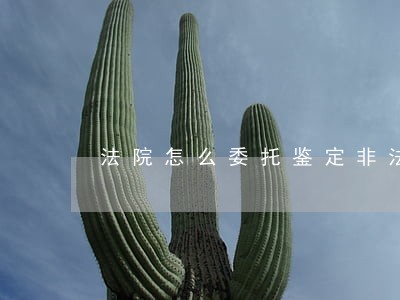 法院怎么委托鉴定非法出版物 法院怎么委托鉴定非法出版物