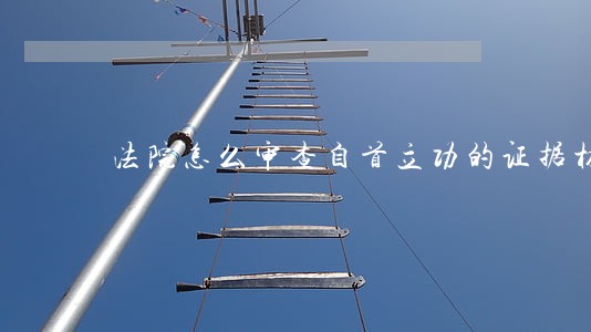 法院怎么审查自首立功的证据材料 法院怎么审查自首立功的证据材料