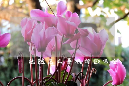 法院怎么异地诉讼保全 法院怎么异地诉讼保全