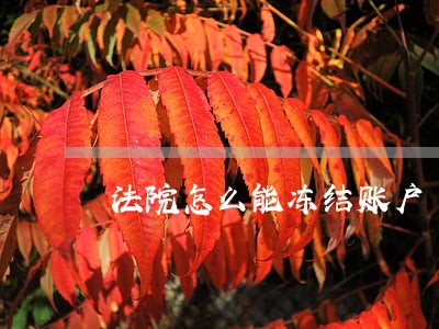 法院怎么能冻结账户