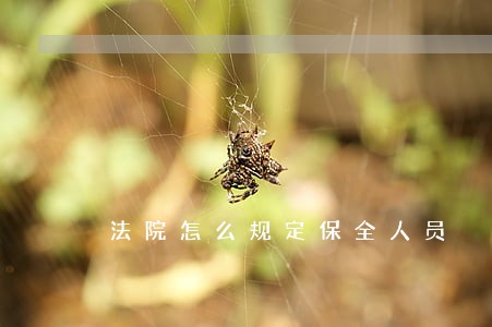法院怎么规定保全人员