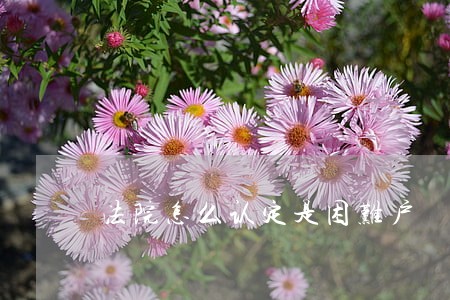 法院怎么认定是困难户 法院怎么认定是困难户