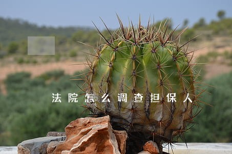 法院怎么调查担保人