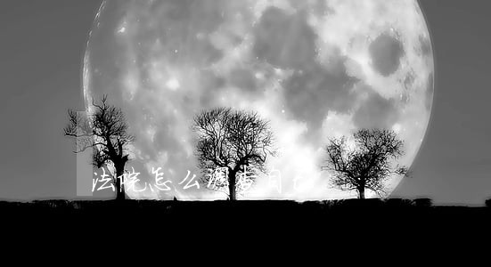 法院怎么调查自己