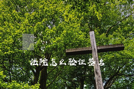 法院怎么验证签名 法院怎么验证签名