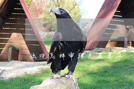 法院怎样审理交通案件 法院怎样审理交通案件