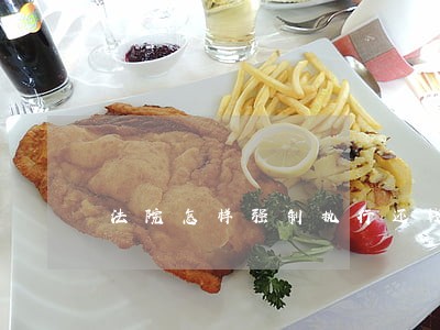 法院怎样强制执行还钱 法院怎样强制执行还钱