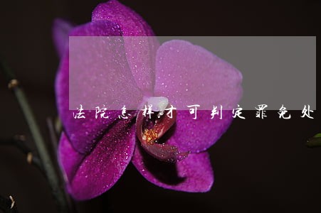 法院怎样才可判定罪免处