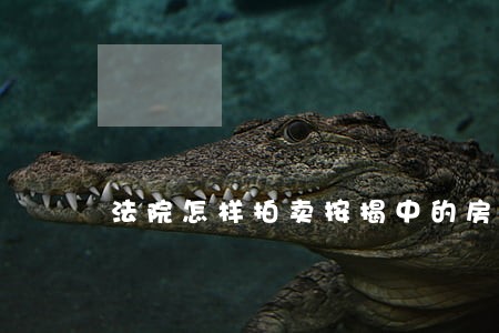 法院怎样拍卖按揭中的房产