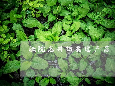 法院怎样拍卖遗产房 法院怎样拍卖遗产房