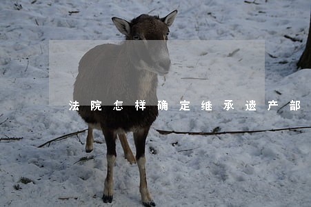 法院怎样确定继承遗产部分 法院怎样确定继承遗产部分