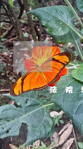 法院思想政治建设方面存在的问题 法院思想政治建设方面存在的问题