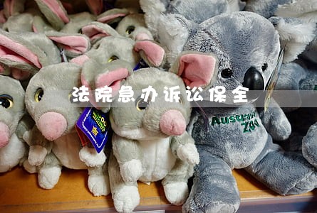 法院急办诉讼保全 法院急办诉讼保全