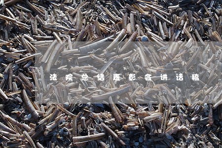 法院总结表彰会讲话稿 法院总结表彰会讲话稿