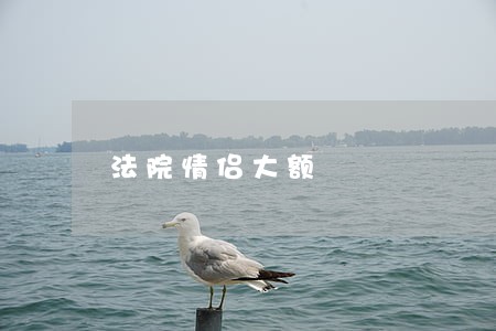 法院情侣大额