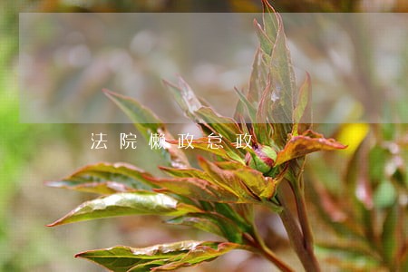 法院懒政怠政