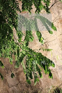 法院成功拍卖房产宣传