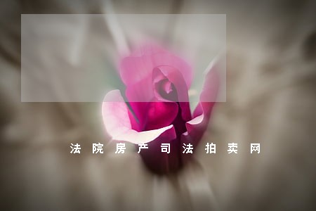 法院房产司法拍卖网 法院房产司法拍卖网