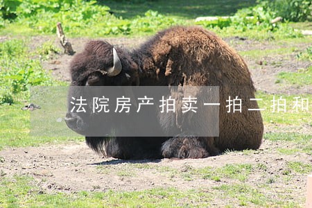 法院房产拍卖一拍二拍和三拍 法院房产拍卖一拍二拍和三拍
