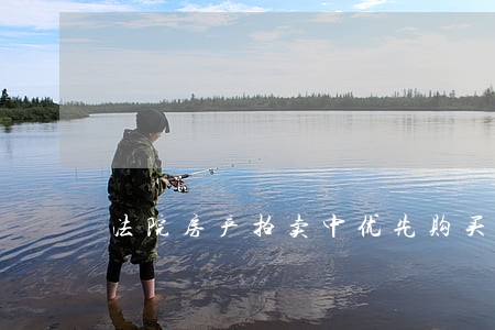法院房产拍卖中优先购买人 法院房产拍卖中优先购买人