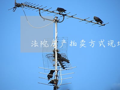 法院房产拍卖方式现场