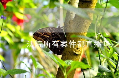 法院所有案件都直播吗 法院所有案件都直播吗