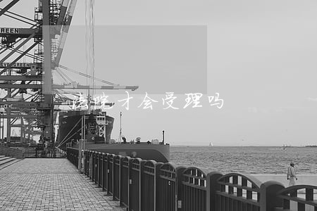 法院才会受理吗 法院才会受理吗