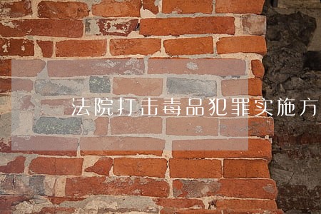 法院打击毒品犯罪实施方案 法院打击毒品犯罪实施方案