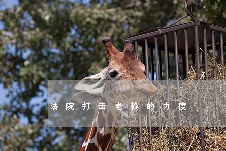 法院打击老赖的力度 法院打击老赖的力度