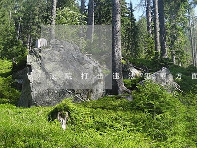 法院打击违法犯罪方面存在的问题 法院打击违法犯罪方面存在的问题