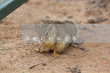 法院打好组合拳 法院打好组合拳