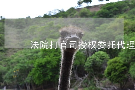 法院打官司授权委托代理人