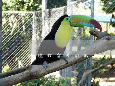 法院打官司排队要多久 法院打官司排队要多久