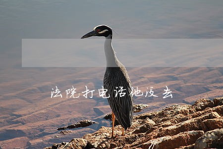 法院打电话他没去 法院打电话他没去