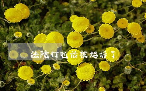 法院打电话被起诉了 法院打电话被起诉了