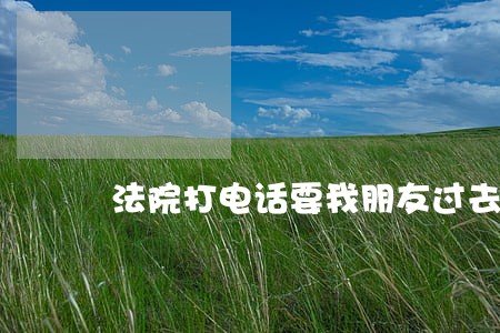法院打电话要我朋友过去 法院打电话要我朋友过去