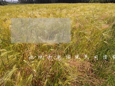 法院打电话说民间借贷 法院打电话说民间借贷