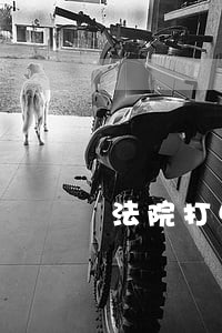 法院打电话说老婆起诉离婚 法院打电话说老婆起诉离婚