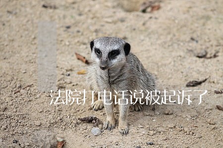 法院打电话说被起诉了 法院打电话说被起诉了