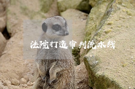 法院打造审判流水线
