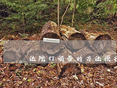 法院打领带的方法慢视频 法院打领带的方法慢视频