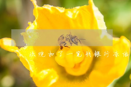 法院扣了一笔钱银行冻结了