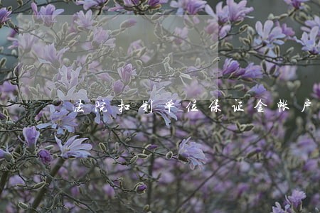 法院扣划单位保证金帐户 法院扣划单位保证金帐户