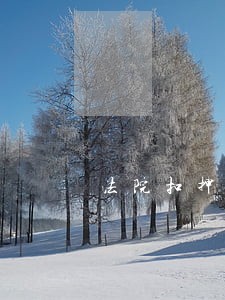 法院扣押了被执行人的车法院能开吗 法院扣押了被执行人的车法院能开吗