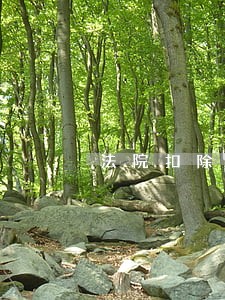 法院扣除还款钱给开凭证吗 法院扣除还款钱给开凭证吗