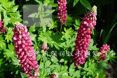 法院执保可以不通知当事人吗 法院执保可以不通知当事人吗