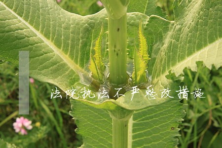 法院执法不严整改措施 法院执法不严整改措施