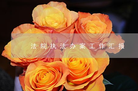 法院执法办案工作汇报 法院执法办案工作汇报