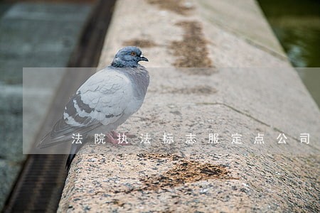 法院执法标志服定点公司 法院执法标志服定点公司